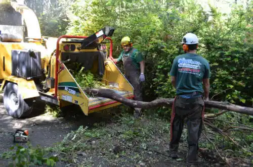 tree services Crystal Springs